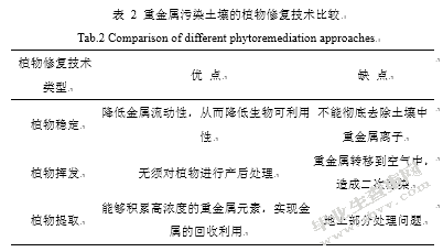 水体重金属污染分布解析