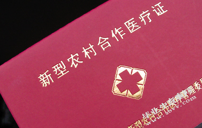 浅谈新型农村合作医疗制度存在的问题及对策