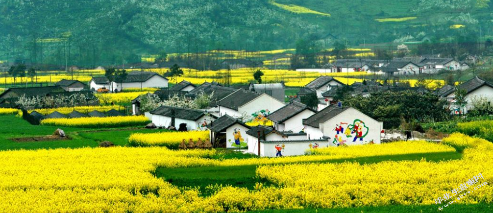 “金山农家乐”为例的乡村旅游的发展现状及未来趋势