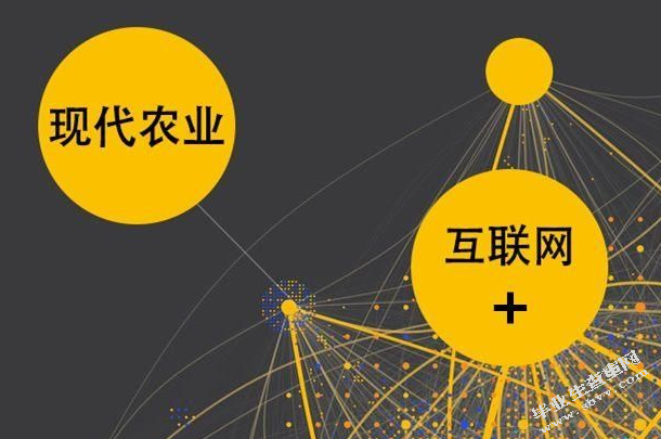 农村电子商务的发展现状及策略研究-以三明市为例