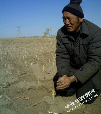 城市规划进程中失地农民就业研究——以辽宁省铁岭市为例