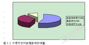 对目前农村大病医疗统筹保险的研究