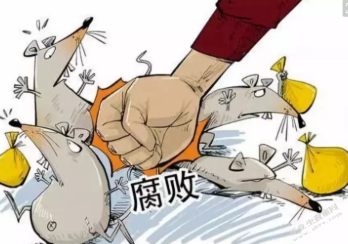 论我国现阶段腐败治理的现状及其预防机制