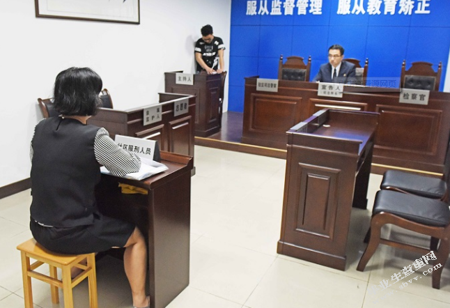 青少年社区矫正理论与技术的运用研究