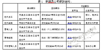 新媒界科技公司核心员工激励问题研究