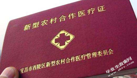 我国农村基础医疗设施建设不足问题分析——以四川省为例