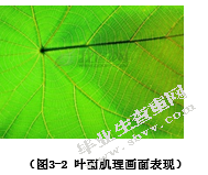 广告摄影的肌理探析
