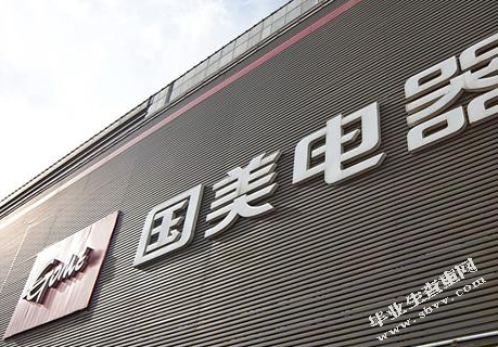 国美电器发展电子商务战略规划