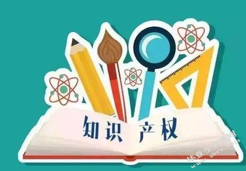 论知识产权的法律保护