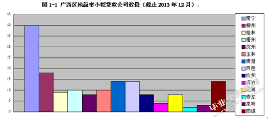 柳州小额贷款公司发展存在的问题与解决探究