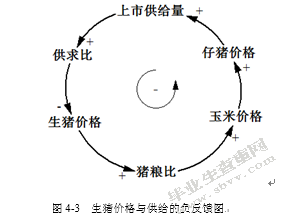 基于系统动力学的生猪供应链价格传导机制研究