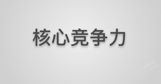浅析网络经济下的企业核心竞争力