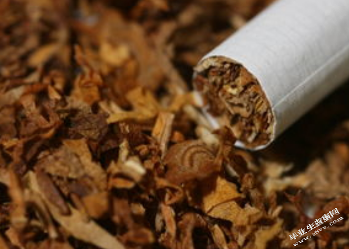 烟草企业发展问题研究