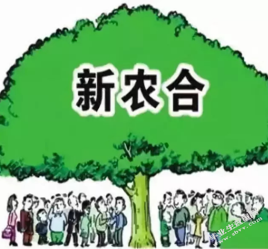 新型农村合作医疗制度的报销机制问题研究—以重庆石柱县为例