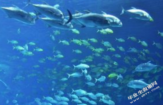 论国际海洋资源开发利用过程中的环境保护问题