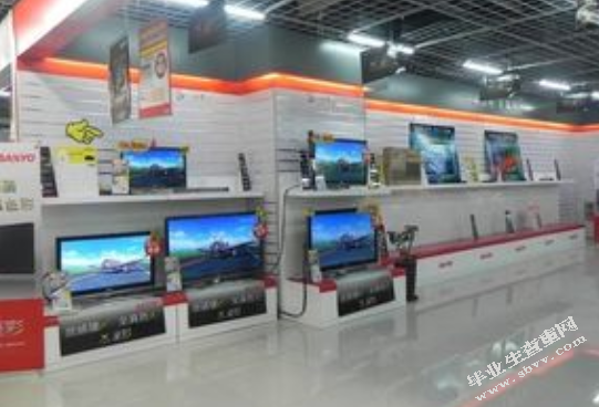 大型电器零售商的自有品牌建设研究