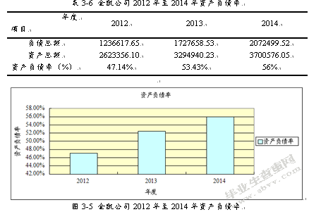 灌南县金凯包装有限公司财务分析