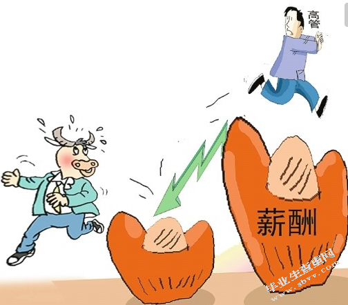 国有企业高管薪酬管制问题研究