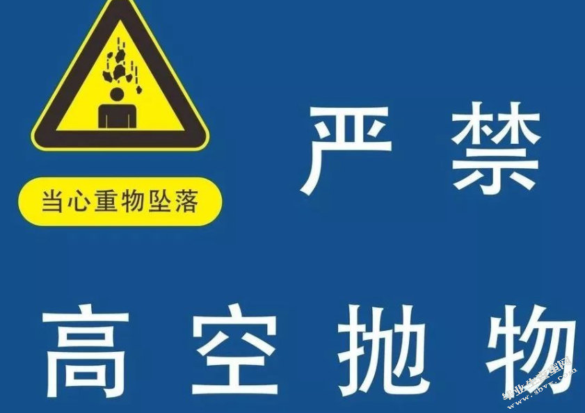 我国高空抛物侵权责任研究