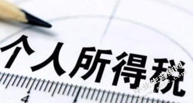 我国个人所得税制及征管问题研究