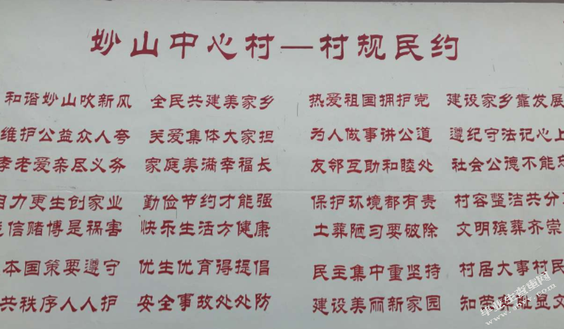 乡规民约与基层社会治理