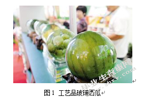 北京市大兴区创意农业发展问题研究