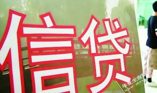 我国小额信贷机构发展问题研究