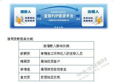 小额贷款公司在中国的发展-宜信小额贷款公司的发展研究