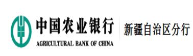 中国农业银行新疆分行信用卡业务现状