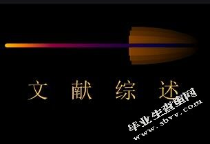 中国河口港的现状与发展研究-以上海港为例-文献综述