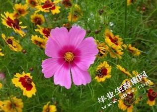 高中物理高效课堂教学模式研究