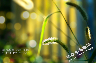 隔代教育对幼儿个性发展的影响
