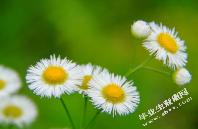 浅谈东莞地区集装箱运输的现状及发展