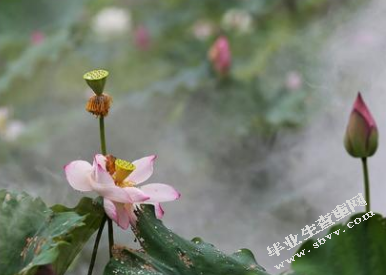 论云南新兴旅游业的发展机遇与管理
