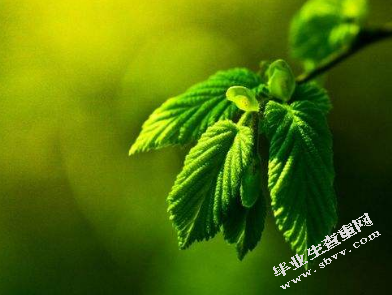 小微企业规避财务风险分析