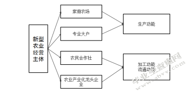 商业银行支持新型农业经营主体发展研究