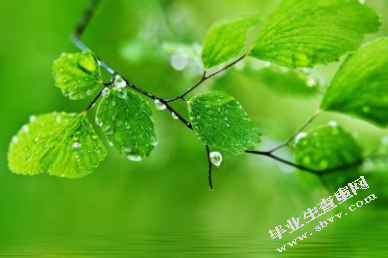 试论会计政策及其选择