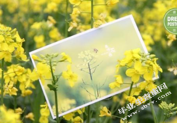 业余篮球体能训练的研究