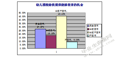 幼儿园新教师专业能力素养的发展现状及对策研究