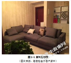 基于中高端消费者需求的布艺沙发设计研究-以斯可馨沙发为例