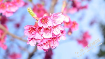 “色彩设计与人文情怀”——民宿酒店设计