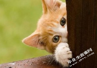 “互联网+”下会计信息质量探讨