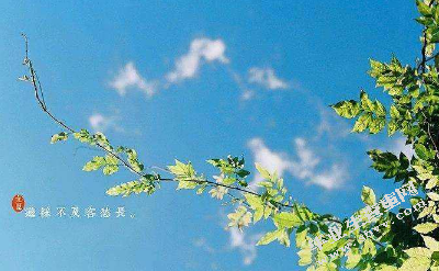 浅析会计信息失真的成因和防范对策