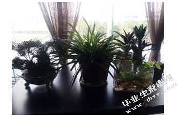 绿植花卉在公共空间的装饰应用 ---基于办公空间