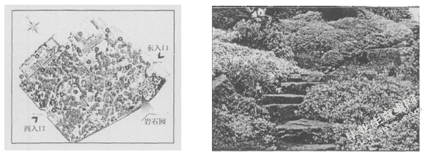 论假山石在城市景观中的运用