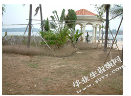 论滨水公园设计中的“古典情怀”