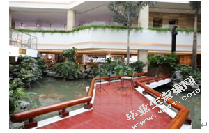 中式园林要素在酒店中庭设计中的运用━━━以广州白天鹅宾馆为例