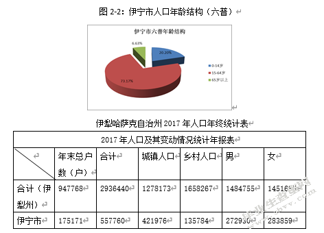 新疆伊宁市城市市容环境卫生管理研究