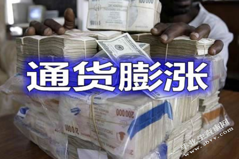 中国通货膨胀的事实、原因和根本原因