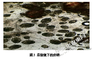 犬传染病的诊断与治疗——以一例犬疥螨病的诊断与治疗为例